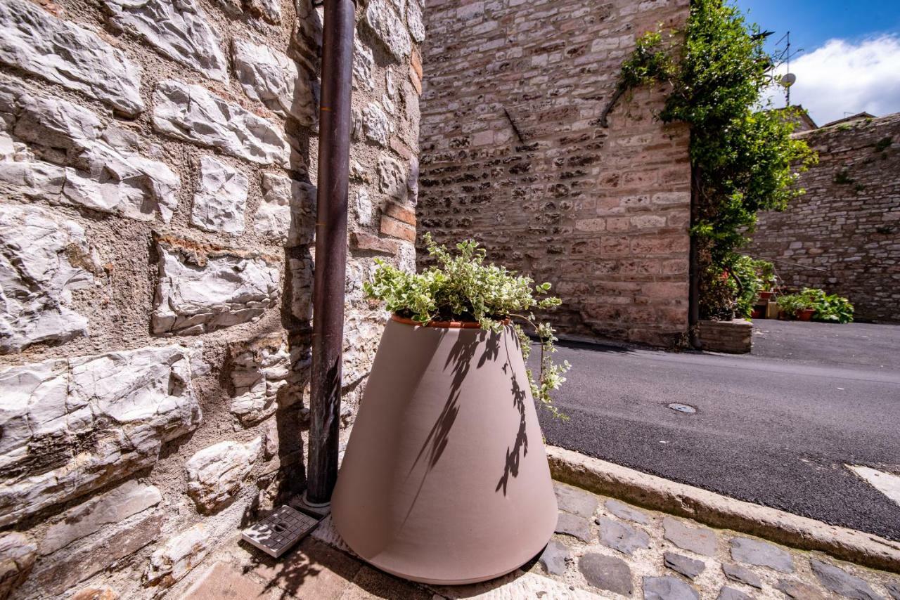 Perfetta Letizia Casa Vacanza Asís Exterior foto